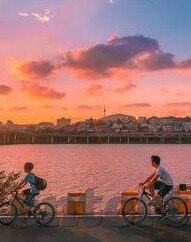 专业足球比分-专业足球比分，洞察绿茵风云的精准之钥